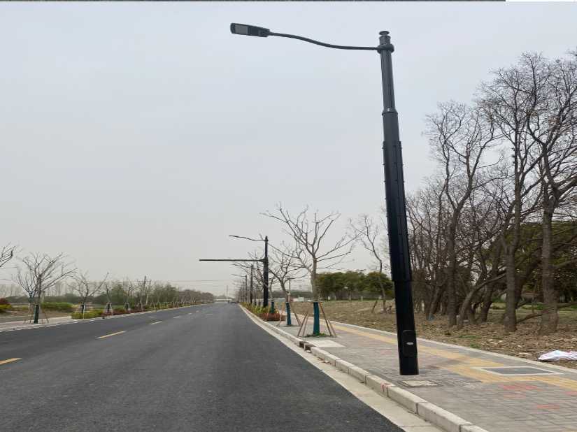 宁强县上海综合杆 太阳能路灯工程